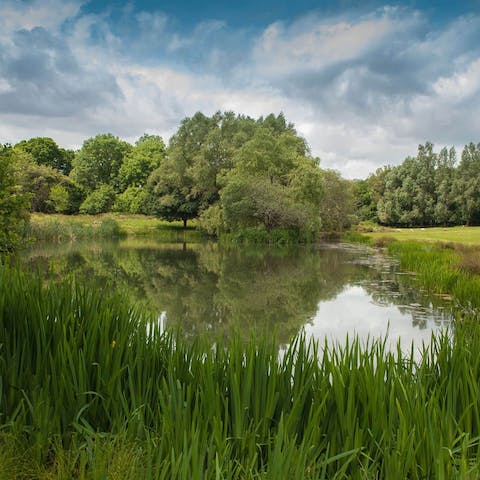 Wander seventy acres of wildflower meadow and woodland