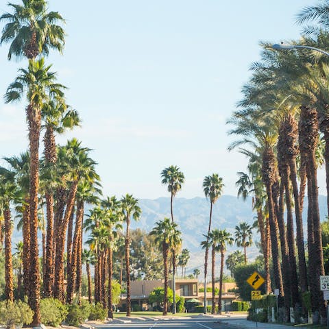 Discover downtown Palm Springs