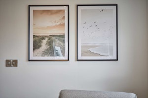 Wild Grey image 12