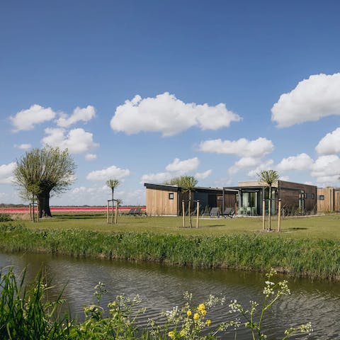 Stay in a carbon-neutral holiday park right on the banks of the Markermeer