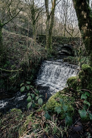 Tyas Cottage image 4