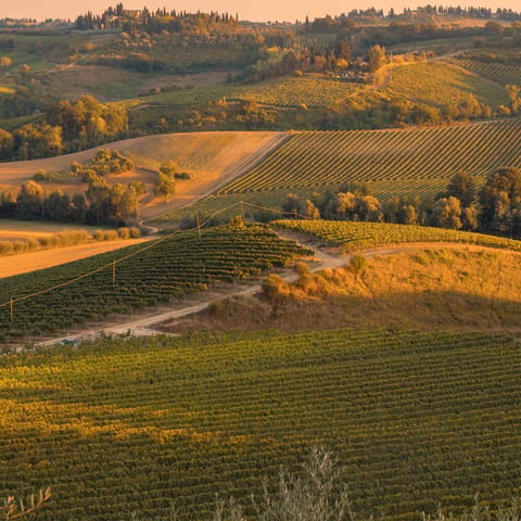 Embark on a road trip around the rolling hills of Tuscany