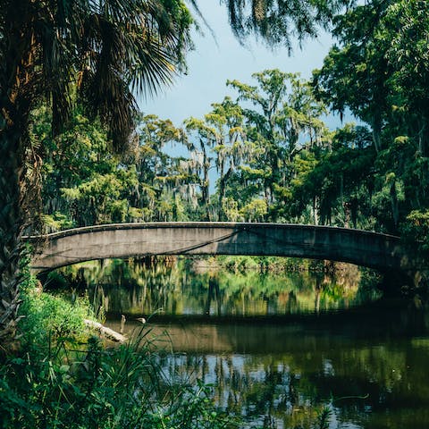 Drive twenty-two minutes to City Park for a stroll in the gorgeous greenery