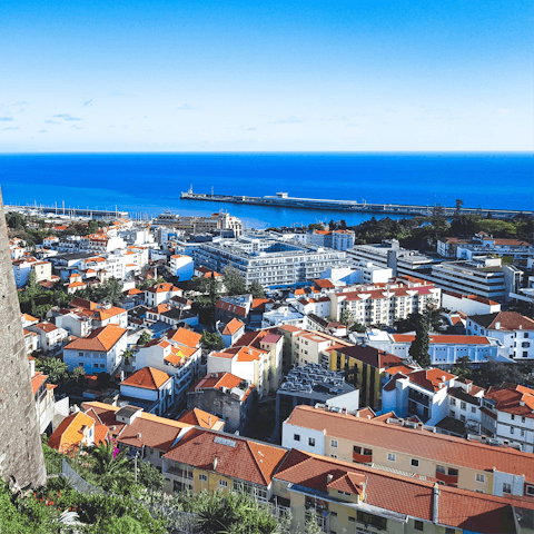 Explore the terracotta-topped buildings and gorgeous gardens of Funchal