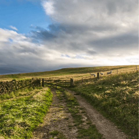 Escape to the North Yorkshire countryside and admire the landscape