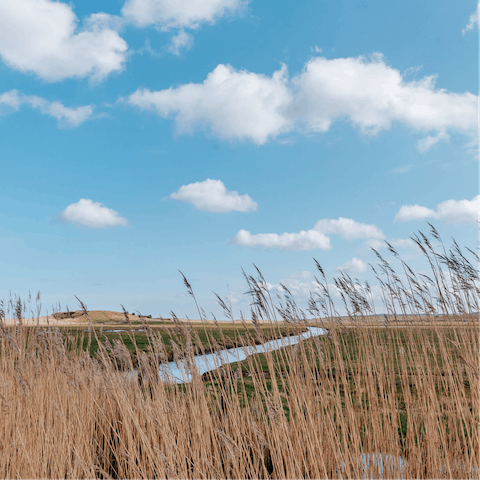 Take a drive to Norfolk Coast AONB, only three miles from Holt's centre