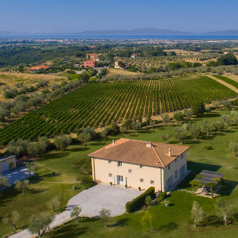 Explore the Tuscan countryside from your sprawling estate