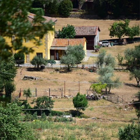 Explore the narrow streets of Sarteano – it's just a short distance away