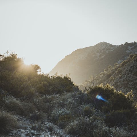 Experience the breathtaking natural beauty of Mallorca's mountains 