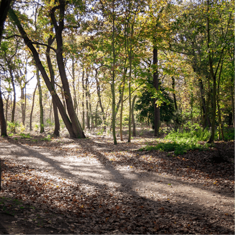 Take a break from city life and explore Bois de Boulogne – it's a short stroll away
