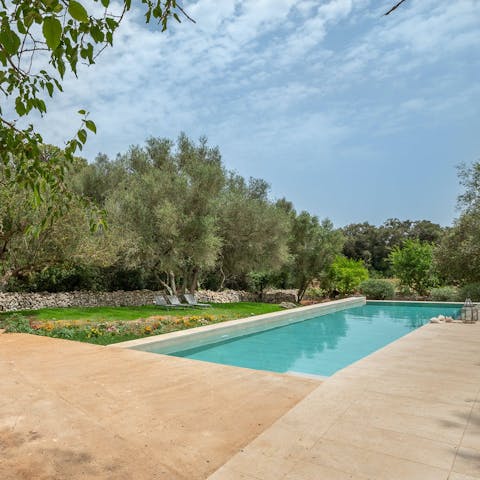 Find a rural sanctuary nestled among the olive trees