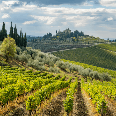 Discover Chianti's rolling vineyards, all within easy reach