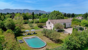 Vines and Alpilles image 7