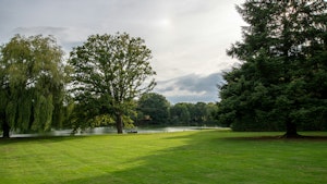 Echoing Water image 14