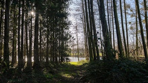 Echoing Water image 6