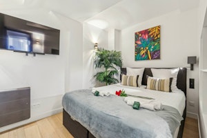Dauphine Daydream image 13