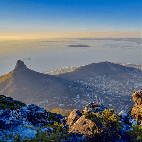 Explore Table Mountain National Park – a nine-minute drive away