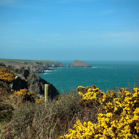 Stay in St Florence – an idyllic base from which to explore all of Pembrokeshire
