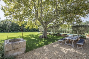 Sunburst Serenade image 9