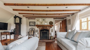 The Toadstool image 9
