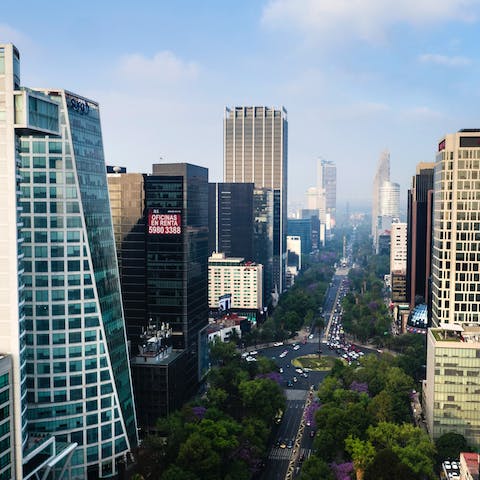 Enjoy fine dining, luxury shopping and renowned museums in Polanco
