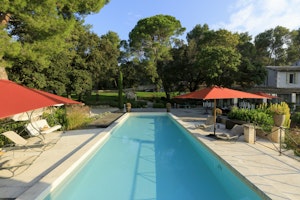 Olive Grove Abode image 1