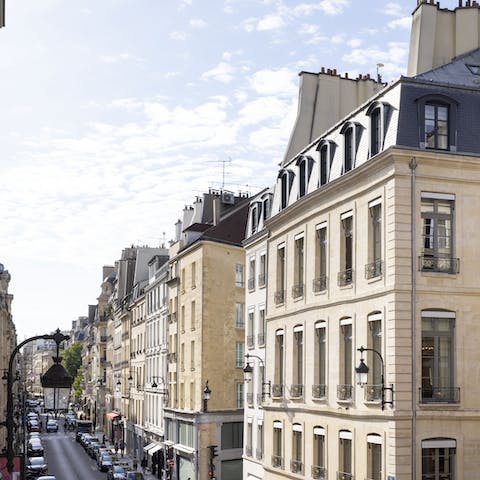 Enjoy the typically Parisian view from your window 