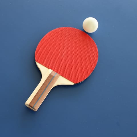 Challenge friends and family to a table tennis tournament