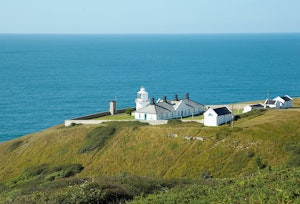 Postcard from the Lighthouse image 8