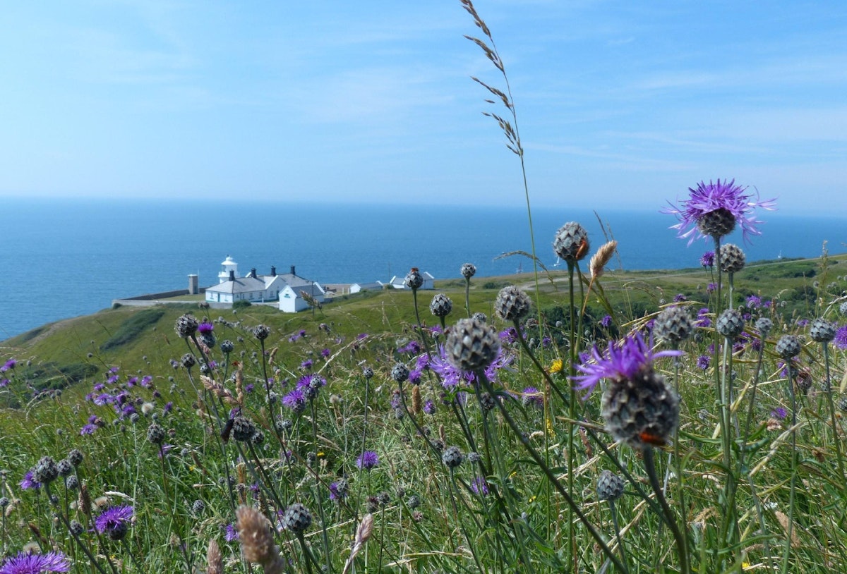 Postcard from the Lighthouse, South West England