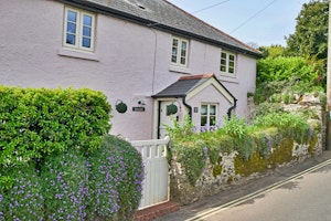 Brixham Beauty image 10