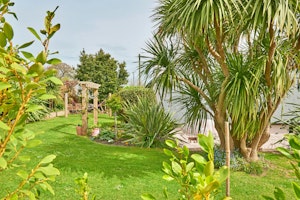 Brixham Beauty image 8