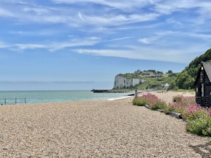 Hollyhocks By The Sea image 6