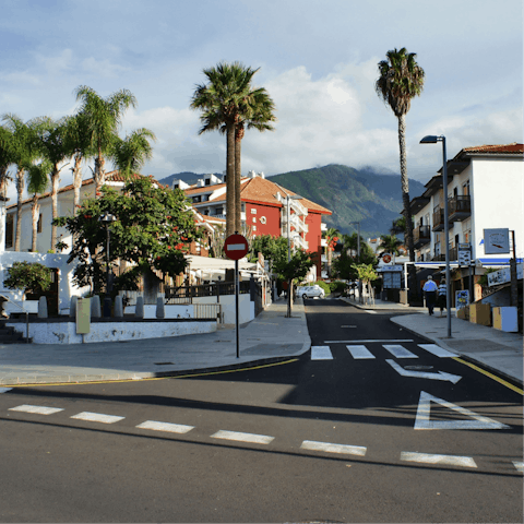 Discover Estepona from the Alcazaba hills, just a stone's throw away from the Alcazaba Lagoon