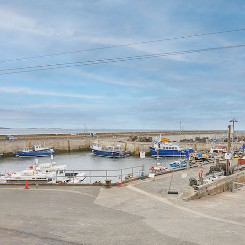 Explore Seahouses, including the lovely harbour right opposite this home