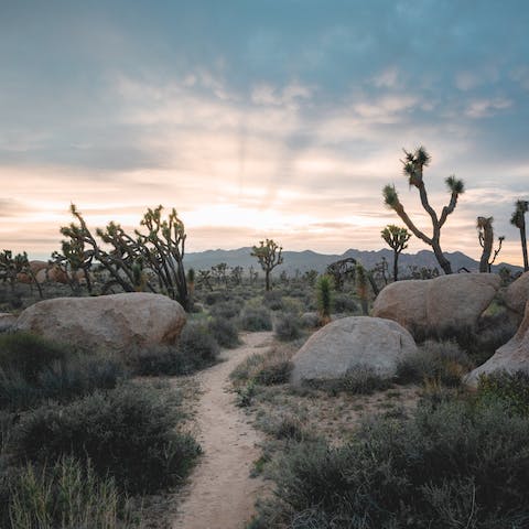 Hit the hiking trails of Joshua Tree National Park, a ten-minute drive away