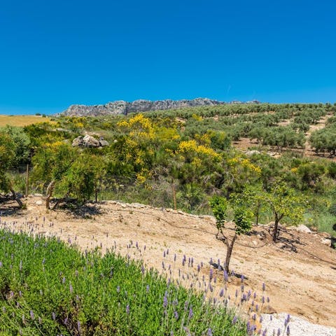 Stay near the El Torcal de Antequera nature reserve, a great hiking destination
