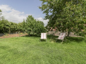 Flowers & Foliage image 7