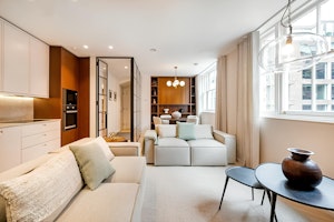 Sophisticated London image 1