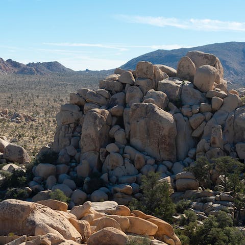 Drive to Joshua Tree National Park in just twenty minutes