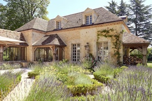 Lavender and Ivy