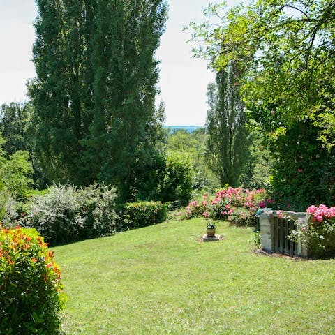 Bring out your holiday read and retire to a shady spot in the garden