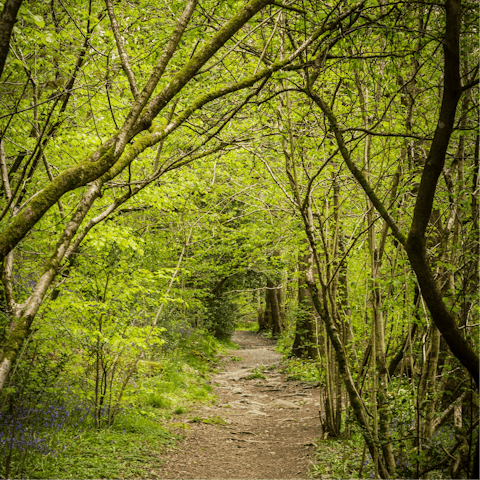 Explore the beauty of Sheringham National Trust Park