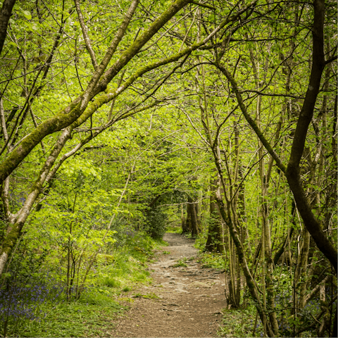 Explore the beauty of Sheringham National Trust Park