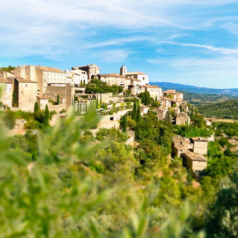 Revel in the beauty of the charming village of Ménerbes