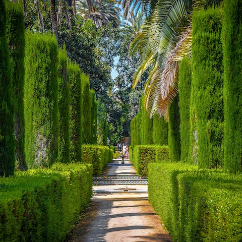 Go on a leisurely amble through the gardens of Royal Alcázar of Seville, ten minutes away on foot
