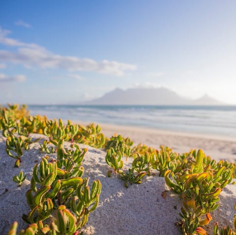 Sun yourself on some of South Africa's spectacular beaches