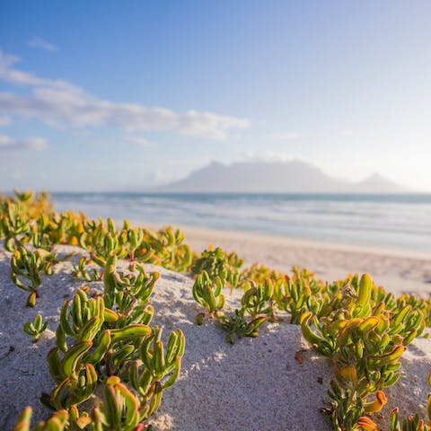Sun yourself on some of South Africa's spectacular beaches