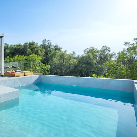 Dive into the cooling waters of your pristine pool