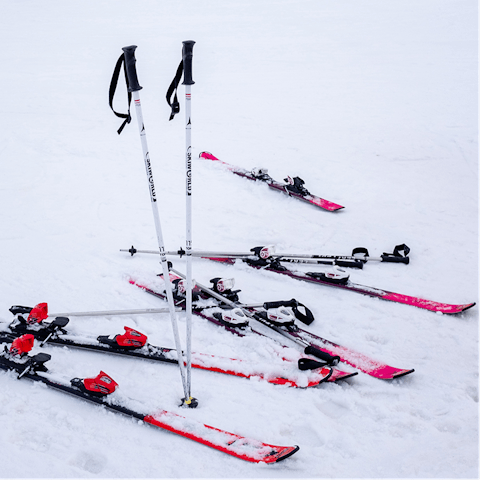 Take advantage of the nearby Pléney and Nyon ski lifts, just 1km away